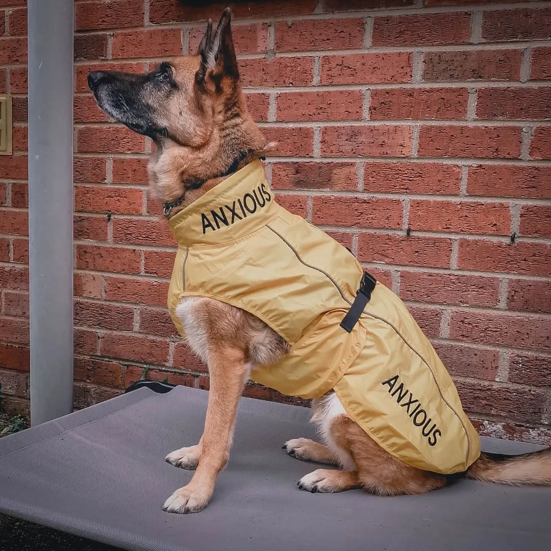 ANXIOUS DOG YELLOW LIGHTWEIGHT RAINCOAT (Extra Large)